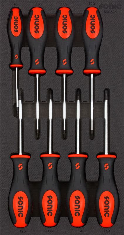torx screws|schroevendraaierset torx.
